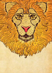 Lion head grunge design