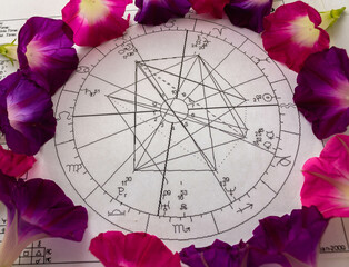 Printed astrology chart surrounded by  purple morning glory flowers