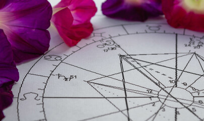 Detail of printed astrology chart  with Saturn planet; purple morning glory flowers in the...
