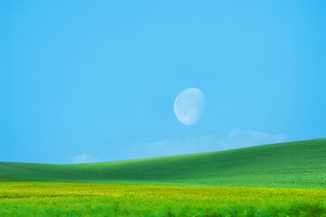 green field,blue sky and moon on the horizon