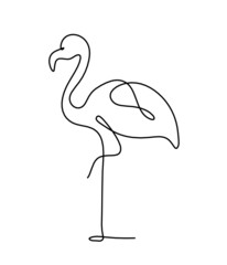 Silhouette of abstract flamingo as line drawing on white. Vector