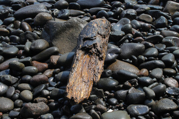 Piece of old wood by the beach with waves and rocks