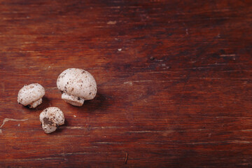 Three fresh raw forest mushrooms, eadible agaric champignons on kitchen wooden table. Autumn harvest, organic vegan-friendly food, copy space