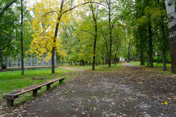 Naklejka premium Shady trees, gilded in autumn, a bench on the park alley, dotted with autumn leaves