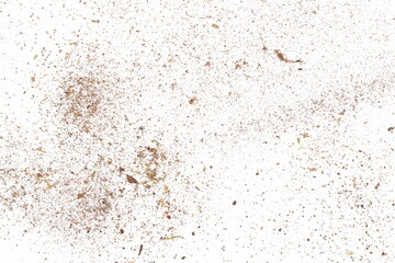 Fototapeta na wymiar Dust organic, crushed rotten wood, ground dry and green moss isolated on white background and texture, top view