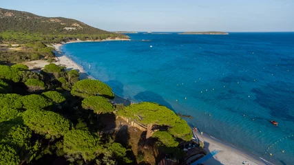 Foto auf Acrylglas Palombaggia Strand, Korsika Luftaufnahme des Strandes von Palombaggia im Süden von Korsika, Frankreich - Berühmter Pinienwald auf der Insel Korsika, in der Nähe des türkisfarbenen Wassers des Mittelmeers
