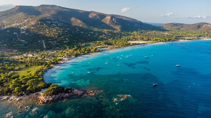 Cercles muraux Plage de Palombaggia, Corse Vue aérienne de la plage de Palombaggia dans le sud de la Corse, France - Célèbre forêt de pins sur l& 39 île de Corse, près des eaux turquoises de la mer Méditerranée