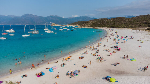 Aerial view of Loto Beach in the Agriates Desert northwest of Saint Florent near the Cap Corse, Corsica, France - White sand Lotu Beach with azure waters in the Mediterranean Sea
