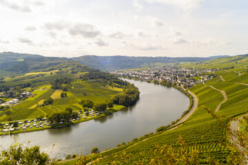 Ballade au bord de la Moselle