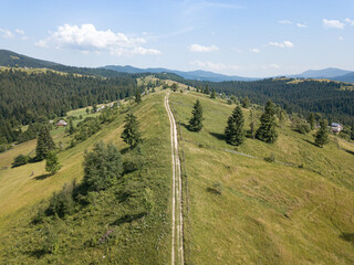 Green mountains of the Ukrainian Carpathians on a sunny summer morning. Coniferous trees on the mountain slopes and green grass. Dirt road on the mountainside. Aerial drone view.