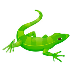 Vector isolated cartoon illustration of green striped lizard reptile.