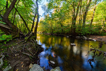 stream in the woods; Alnaelva in Oslo, Norway. Svartdalen , Bryn