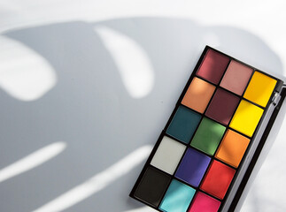 bright makeup eyeshadow palette on white background with leaf shadows