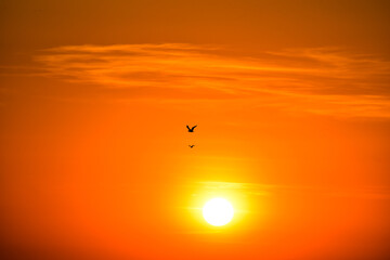 Fototapeta na wymiar Romantic sunset , big sun in the sky in the evening. Orange air space