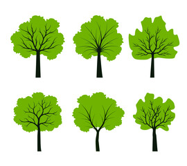 Set green trees. Vector Illustration