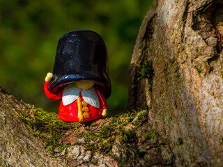 Beefeater British Royal Guard gnome in a sunny day in the tree