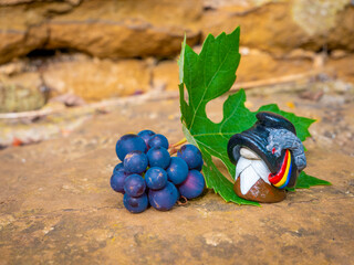 Romanian Decebalus Gnome near grape