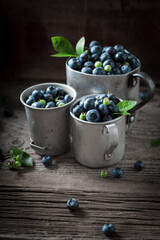 Sweet blueberries freshly picked from garden. Fruits full of vitamins.