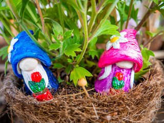 Gnome Couples in a Flower Pot with Mushroom