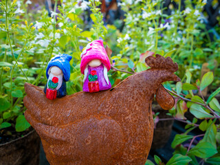 Gnome Couples on a Metal Chicken in the Garden