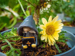 Preacher Gnome in a Flower Pot with Yellow Flower