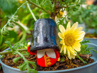 Beefeater British Royal Guard near Yellow Flower in a pot