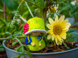 Gnome Queen in a flower pot with yellow flower
