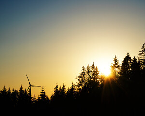 sunset in the forest with a wind turbine