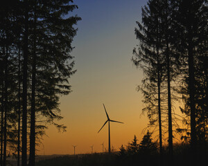wind turbine between trees  at sunset