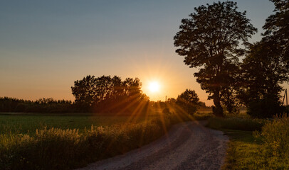 Naklejka na ściany i meble Summer sunset in a countryside