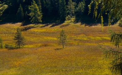 brillano i colori dei prati nei mesi autunnali