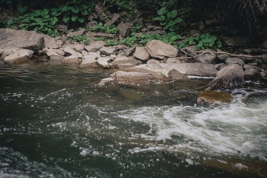 Strumyk Bilder Durchsuchen 1,733 Archivfotos, und