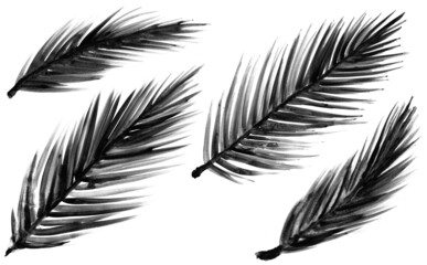 Obraz premium Ilustración de hojas de palmera, manual con acuarelas 