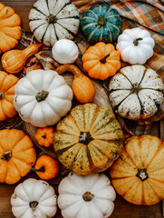 Autumn background with colorful pumpkins. Fall, Halloween and Thanksgiving concept.