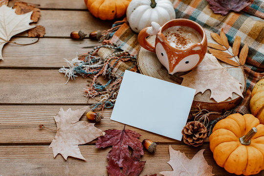 Autumn greeting card mock up. Blank card  with pumpkin, autumn leaves, pine cone. Thanksgiving and Halloween postcard template. Fall background