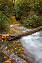 Large tree trunk crosses the river of Camp Creek Falls in Pisgah Forest