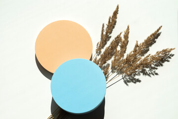 Two empty pastel round platform podium for cosmetics or products and dry grass plant on white...