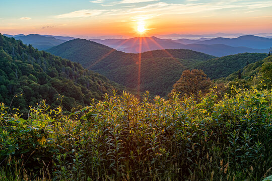 Sunrise backlights green foliage looking east over blue ridge mountains.