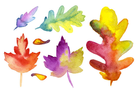 bright set of watercolor leaves
