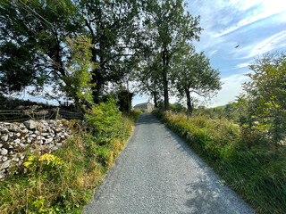 Country lane, in the Yorkshire Dales, with dry stone walls, and trees, leading to, Kettlewell, Skipton, UK