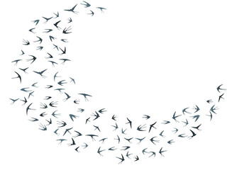 Flying swallow birds silhouettes vector illustration. Nomadic martlets bevy isolated on white.
