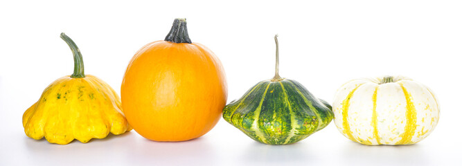 Halloween pumpkins isolation on a white background. Halloween decorations.