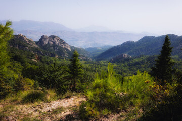 Fototapeta na wymiar Rocca Busambra - Berg in der Mitte von Sizilien im Ficuzza Wald im September