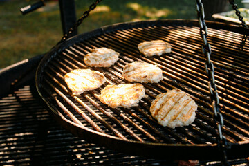 grilled meat on the grill