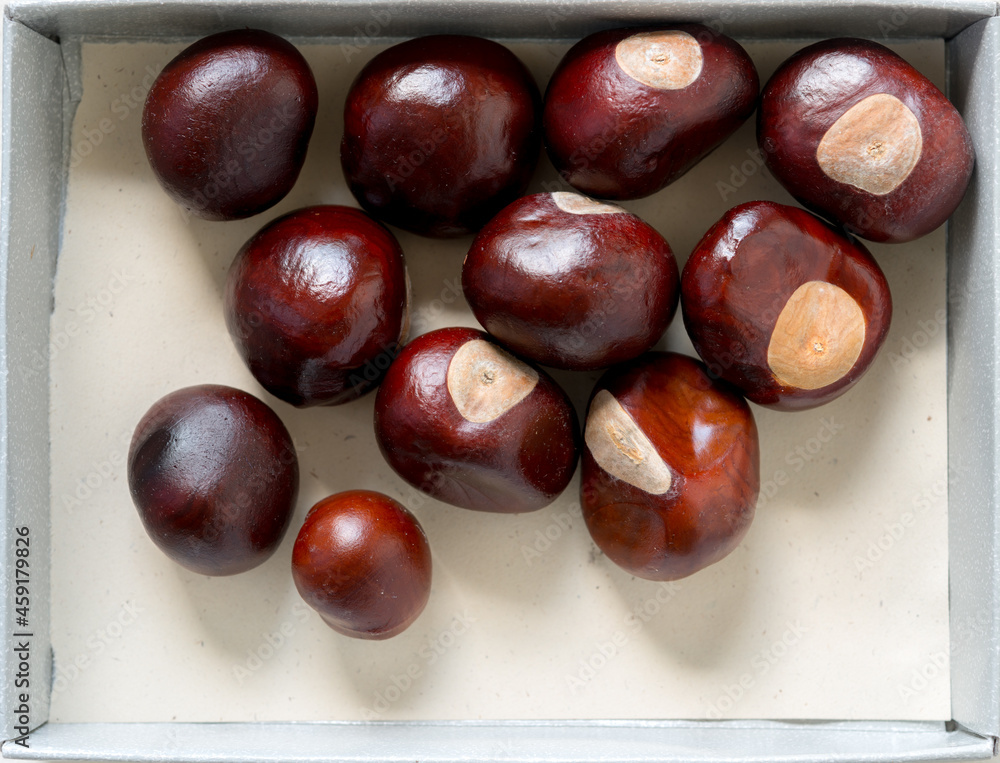 Wall mural chestnuts inside a paper box