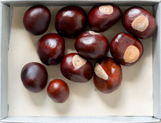 chestnuts inside a paper box