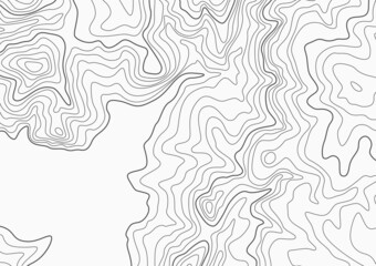 Fototapeta premium topographic map background. bay and mountains contour map. cartography vector pattern
