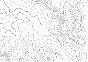 Topographic map vector background. Topo contour map on white background