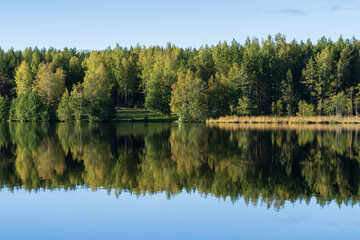 Forest lake with reflection of green trees in water. Autumn in woods with river, no people. Pure nature beauty. Perfect place for relaxation and recreation on vacation away of city urban lifestyle