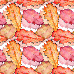 autumn leaves. cute pattern of beautiful prints of leaves painted watercolor by hand.